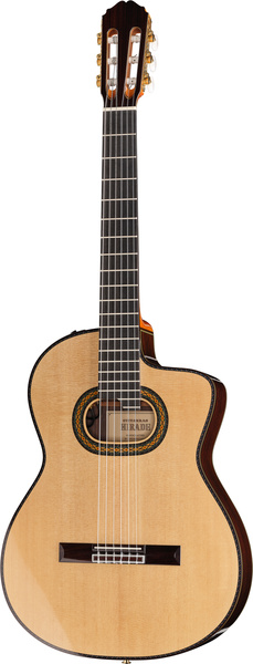 Takamine DH90 w/Softcase