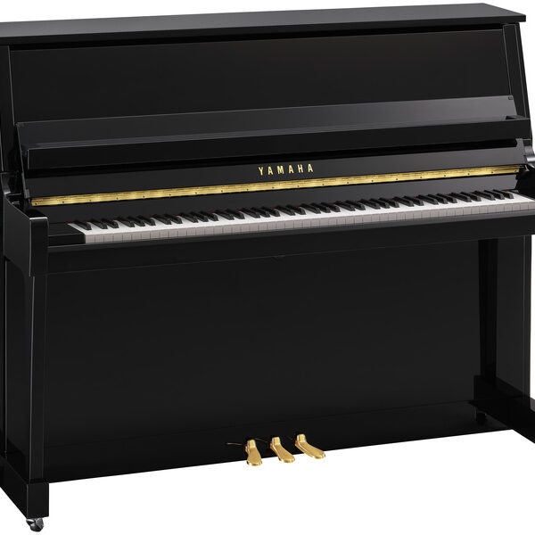Yamaha B20 PE
