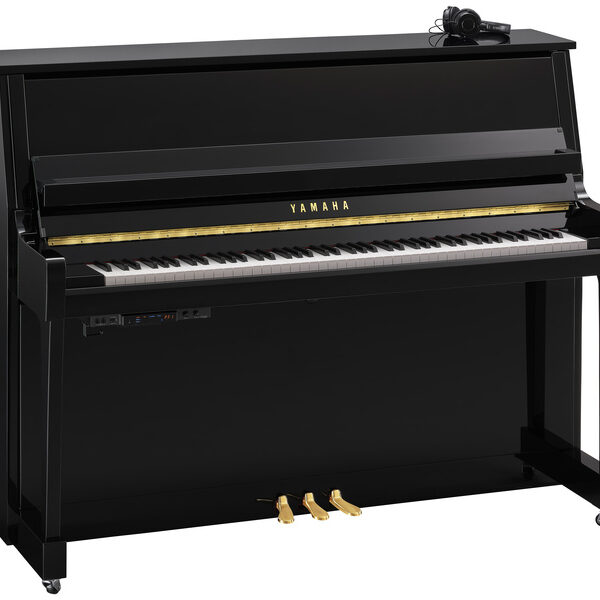 Yamaha B20 SC3 PE