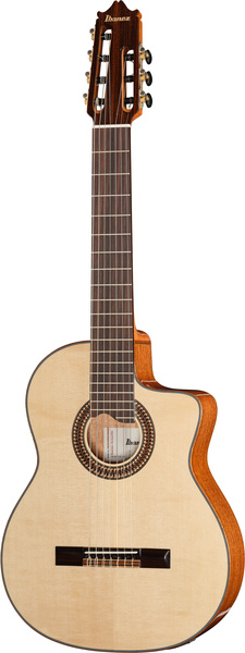 Ibanez GA3007CE-NT