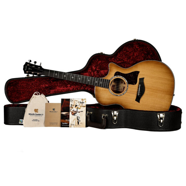 Taylor 514CE Urban Ironbark