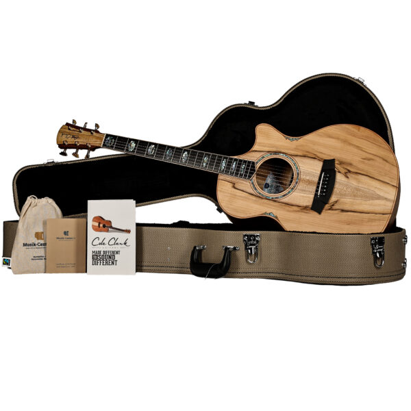 Taylor Custom Grand Auditorium